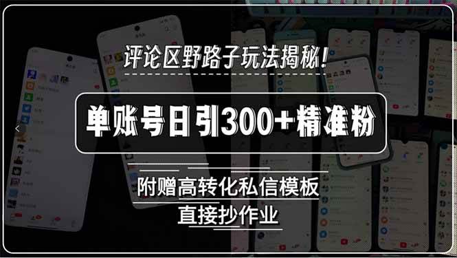 (15466期)评论区野路子玩法揭秘!单账号日引300+精准粉,附赠高转化私信模板,直…-润格副业网-每天分享热门副业赚钱项目