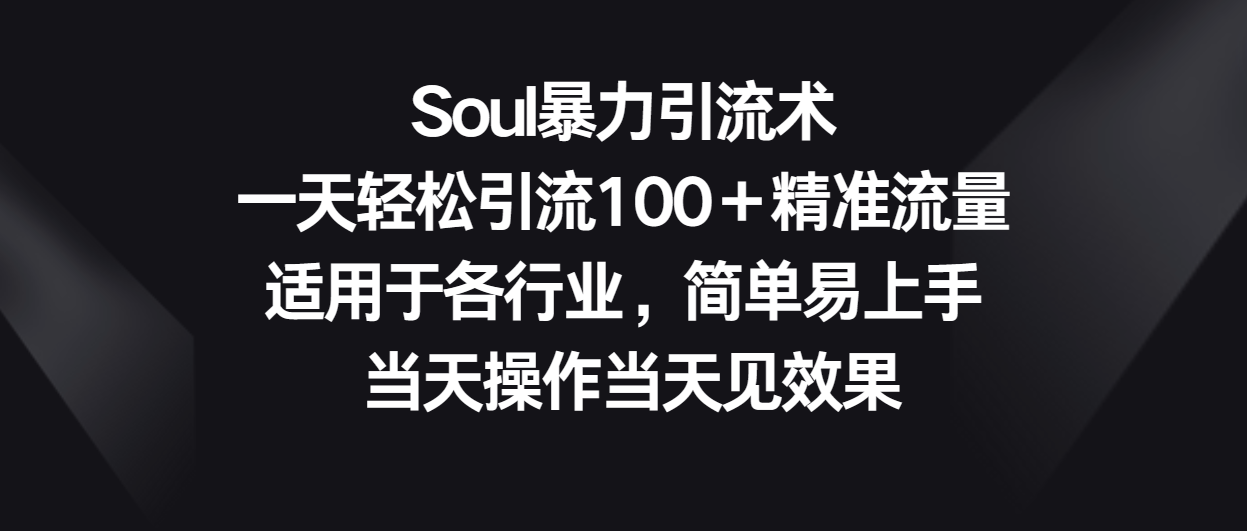 Soul暴力引流术，一天轻松引流100＋精准流量，适用于各行业，简单易上手！-润格副业网-每天分享热门副业赚钱项目