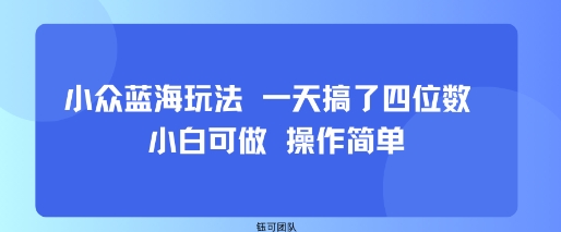 小众蓝海玩法 一天搞了四位数 小白可做 操作简单-润格副业网-每天分享热门副业赚钱项目