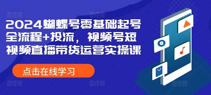 2024蝴蝶号零基础起号全流程+投流,视频号短视频直播带货运营实操课-润格副业网-每天分享热门副业赚钱项目