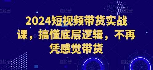 2024短视频带货实战课，搞懂底层逻辑，不再凭感觉带货-润格副业网-每天分享热门副业赚钱项目