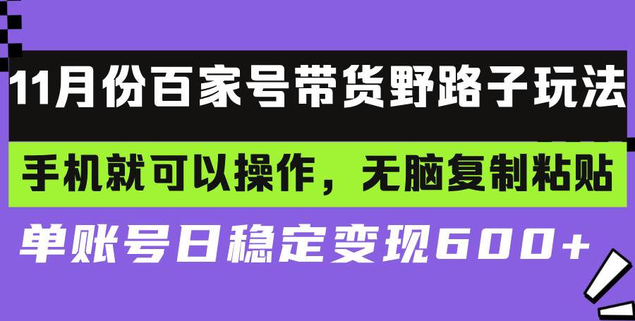 （13281期）百家号带货野路子玩法 手机就可以操作，无脑复制粘贴 单账号日稳定变现…-润格副业网-每天分享热门副业赚钱项目