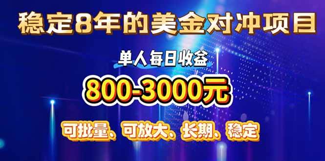 (15782期)稳定8年的美金对冲创业项目,单人每日收益800-3000,小众暴力项目-润格副业网-每天分享热门副业赚钱项目