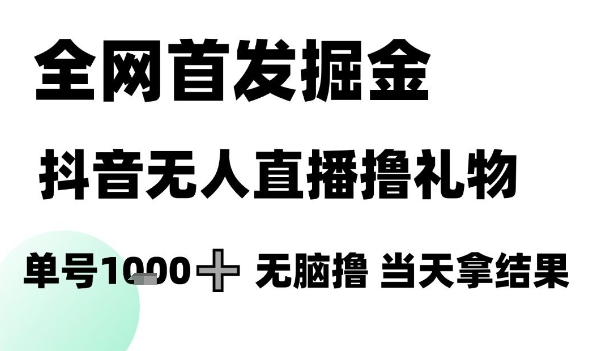 全网首发掘金抖音无人直播撸礼物,单号1k +无脑撸,当天拿结果【揭秘】-润格副业网-每天分享热门副业赚钱项目