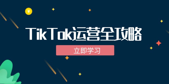 (12739期)TikTok实战运营全攻略:从下载软件到变现,抖音海外版实操教程-润格副业网-每天分享热门副业赚钱项目