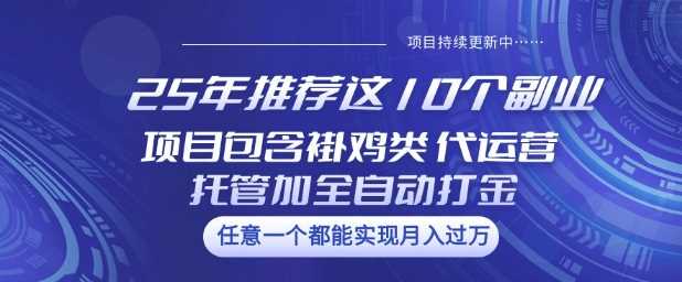 25年推荐这10个副业项目包含褂鸡类、代运营托管类、全自动打金类【揭秘】-润格副业网-每天分享热门副业赚钱项目