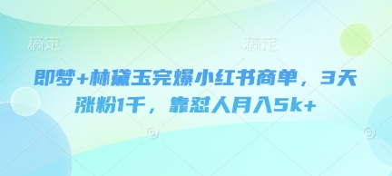 即梦+林黛玉完爆小红书商单，3天涨粉1千，靠怼人月入5k+-润格副业网-每天分享热门副业赚钱项目