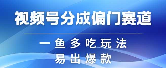 视频号创作者分成计划偏门类目,容易爆流,实拍内容简单易做【揭秘】-润格副业网-每天分享热门副业赚钱项目