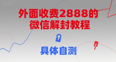 (15301期)外面收费2888的微信解封教程,具体自测-润格副业网-每天分享热门副业赚钱项目