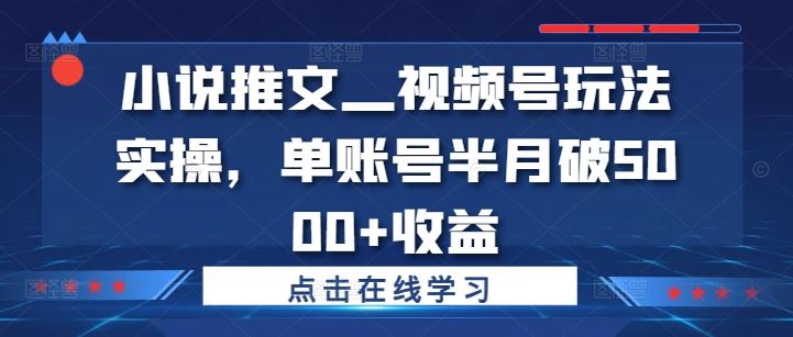 小说推文—视频号玩法实操,单账号半月破5000+收益-润格副业网-每天分享热门副业赚钱项目