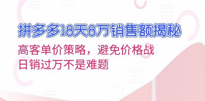 （13383期）拼多多18天8万销售额揭秘：高客单价策略，避免价格战，日销过万不是难题-润格副业网-每天分享热门副业赚钱项目