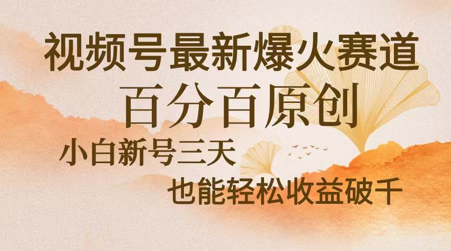 (13225期)视频号最新爆火赛道,中老年粉深信不疑,百分百原创,新号三天收益轻松…-润格副业网-每天分享热门副业赚钱项目