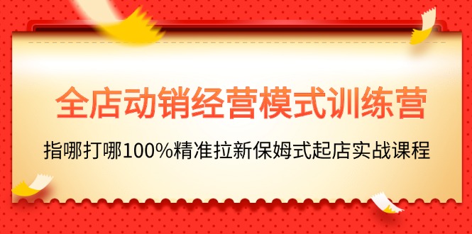 (11460期)全店动销-经营模式训练营,指哪打哪100%精准拉新保姆式起店实战课程-润格副业网-每天分享热门副业赚钱项目