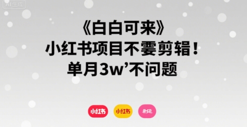 小白可来 小红书项目不需要剪辑 单月3w不是问题-润格副业网-每天分享热门副业赚钱项目