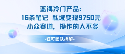 蓝海项目:16条笔记私域变现9750米小众赛道操作的人不多-润格副业网-每天分享热门副业赚钱项目