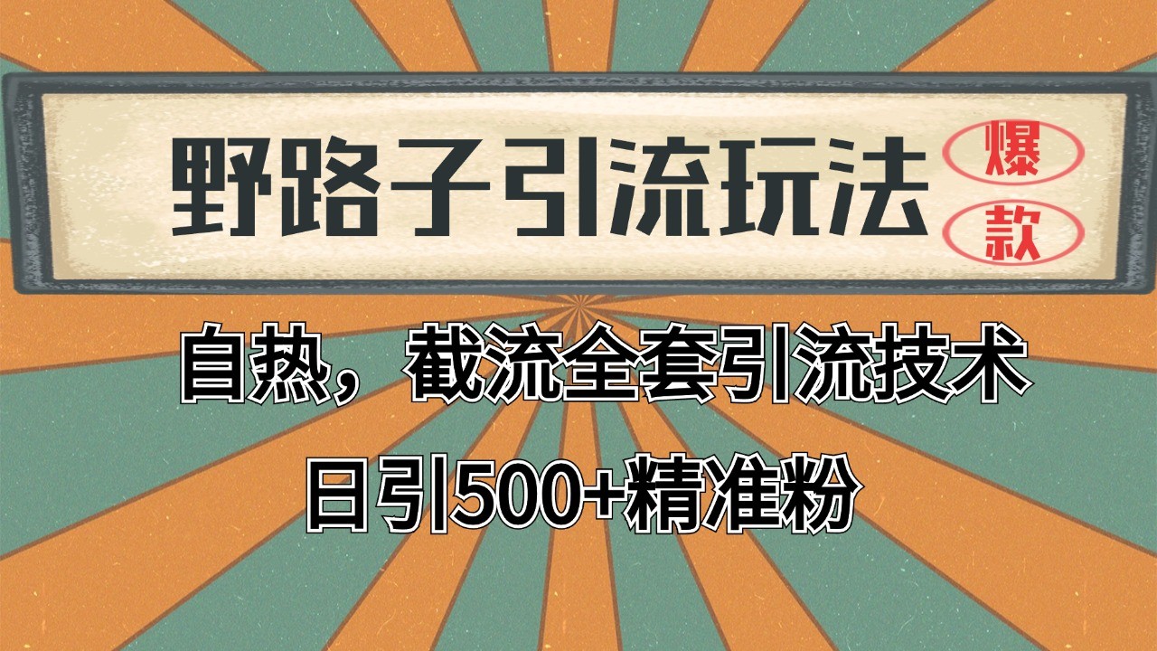 2024首发野路子引流玩法截流自热全平台打法，全自动引流【日引2000+精准客户】-润格副业网-每天分享热门副业赚钱项目