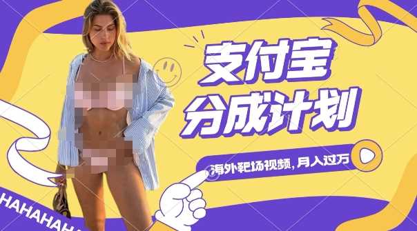 利用海外靶场射击视频,挣支付宝分成收益,轻松月入过W【揭秘】-润格副业网-每天分享热门副业赚钱项目