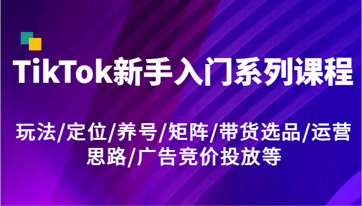 TikTok新手入门系列课程，玩法/定位/养号/矩阵/带货选品/运营思路/广告竞价投放等-润格副业网-每天分享热门副业赚钱项目