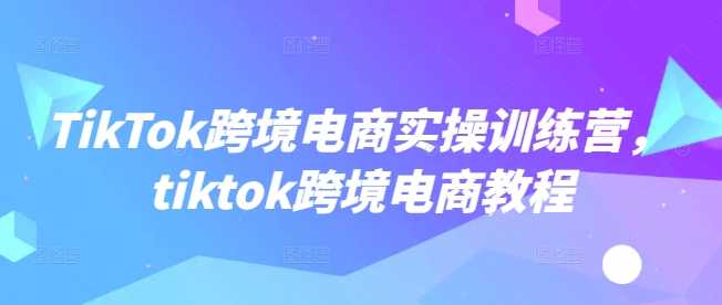 TikTok跨境电商实操训练营，tiktok跨境电商教程-润格副业网-每天分享热门副业赚钱项目