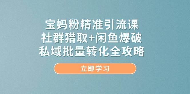 宝妈粉精准引流课，社群猎取+闲鱼爆破，私域批量转化全攻略-润格副业网-每天分享热门副业赚钱项目