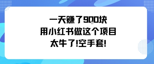 一天挣了9张用小红书做这个项目太牛了,空手套-润格副业网-每天分享热门副业赚钱项目