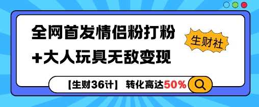 【生财36计】全网首发情侣粉打粉+大人玩具无敌变现-润格副业网-每天分享热门副业赚钱项目