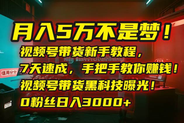 (15595期)月入5万不是梦!视频号带货新手教程,7天速成,手把手教你赚钱!视频号…-润格副业网-每天分享热门副业赚钱项目
