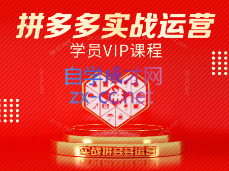 推易电商·拼多多实战运营课(更新2025月)-润格副业网-每天分享热门副业赚钱项目