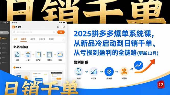 （16894期）2025拼多多爆单系统课，从新品冷启动到日销千单、从亏损到盈利的全链路（更新12月）-润格副业网-每天分享热门副业赚钱项目