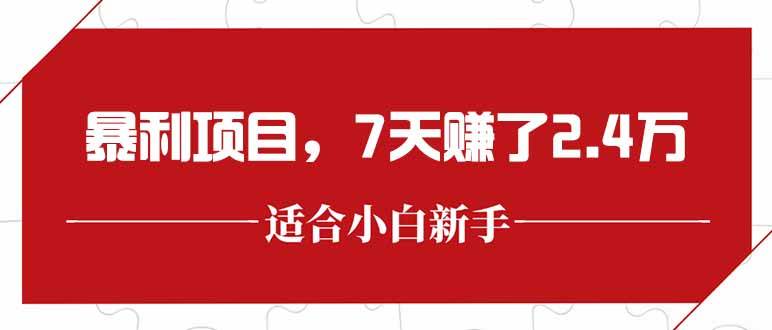 （15228期）最新暴利项目，每单收益轻松在300以上，7天赚了2.4万-润格副业网-每天分享热门副业赚钱项目