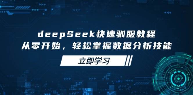 (14536期)deepSeek快速驯服教程,从零开始,轻松掌握数据分析技能-润格副业网-每天分享热门副业赚钱项目