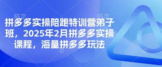 拼多多实操陪跑特训营弟子班，2025年2月拼多多实操课程，海量拼多多玩法-润格副业网-每天分享热门副业赚钱项目