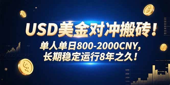 (15551期)USD美金对冲搬砖!单人单日800-2000CNY,长期稳定运行8年之久!-润格副业网-每天分享热门副业赚钱项目