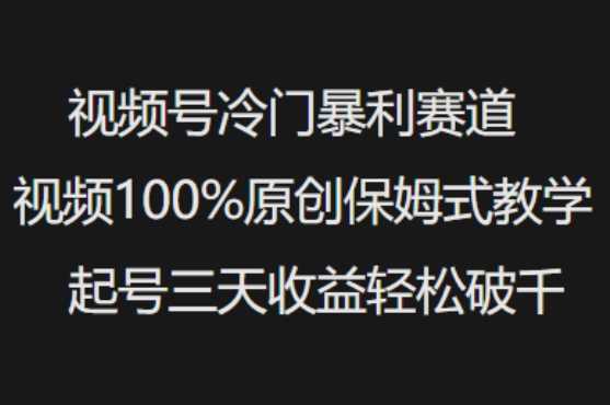 视频号冷门暴利赛道视频100%原创保姆式教学起号三天收益轻松破千-润格副业网-每天分享热门副业赚钱项目