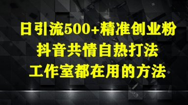 日引流500+精准创业粉,抖音共情自热打法,工作室都在用的方法-润格副业网-每天分享热门副业赚钱项目