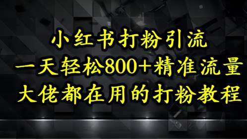 小红书打粉引流，一天轻松500+精准流量，大佬都在用的打粉教程-润格副业网-每天分享热门副业赚钱项目