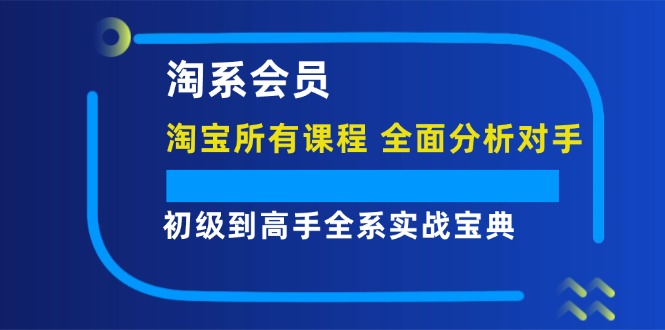 (12055期)淘系会员【淘宝所有课程,全面分析对手】,初级到高手全系实战宝典-润格副业网-每天分享热门副业赚钱项目