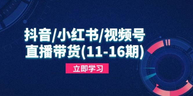 (14611期)抖音/小红书/视频号/直播带货(11-16期),快速掌握平台规则,打造爆款内容-润格副业网-每天分享热门副业赚钱项目