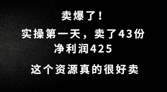 这个资源，需求很大，实操第一天卖了43份，净利润425【揭秘】-润格副业网-每天分享热门副业赚钱项目