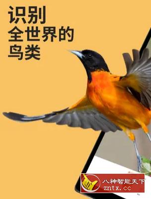 Picture Bird 拍照识鸟2.9.30高级版-润格副业网-每天分享热门副业赚钱项目
