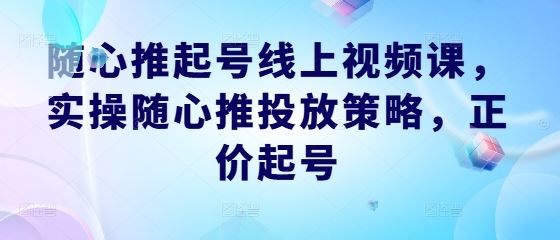 随心推起号线上视频课,实操随心推投放策略,正价起号-润格副业网-每天分享热门副业赚钱项目
