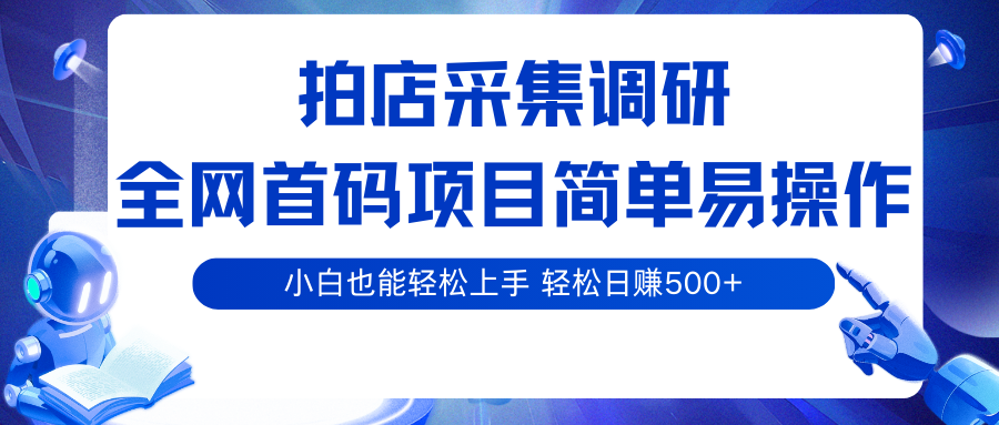 拍店采集调研，全网首码项目，简单易操作， 小白也能轻松上手，轻松日赚500+-润格副业网-每天分享热门副业赚钱项目