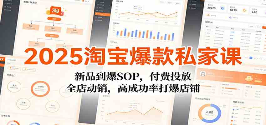 2025淘宝爆款私家课：新品到爆SOP，付费投放，全店动销，高成功率打爆店铺-润格副业网-每天分享热门副业赚钱项目