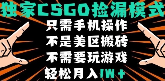 CSGO自动捡漏项目，最新独家玩法，不是美区搬砖，不需要了解和玩游戏，新手小白轻松月入1W+【揭秘】-润格副业网-每天分享热门副业赚钱项目