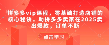 拼多多vip课程,零基础打造店铺的核心秘诀,助拼多多卖家在2025卖出爆款,订单不断-润格副业网-每天分享热门副业赚钱项目