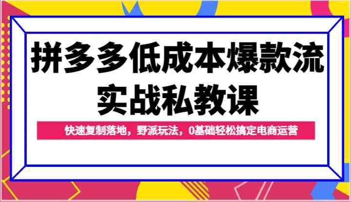 拼多多低成本爆款流实战私教课，快速复制落地，野派玩法，0基础轻松搞定电商运营-润格副业网-每天分享热门副业赚钱项目