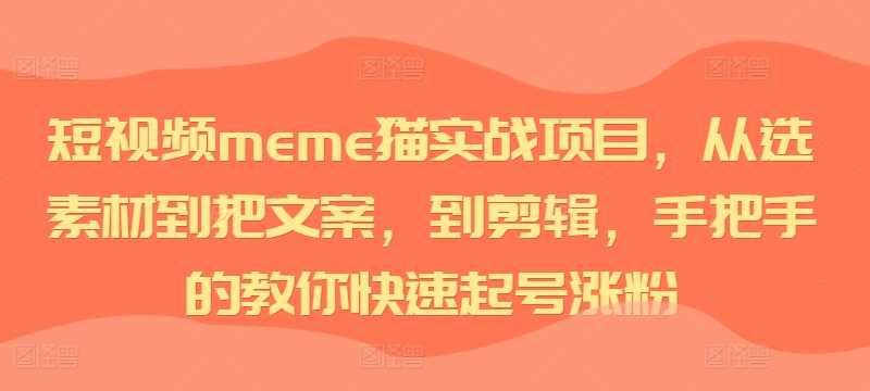 短视频meme猫实战项目,从选素材到把文案,到剪辑,手把手的教你快速起号涨粉-润格副业网-每天分享热门副业赚钱项目