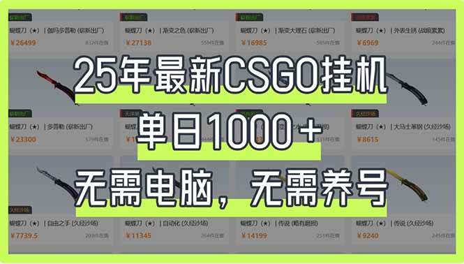 (14178期)25年最新CSGO挂机系统,单日1000+,无需电脑,无需养号,0基础可上手-润格副业网-每天分享热门副业赚钱项目