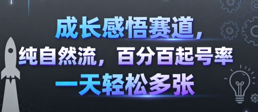 成长感悟赛道,纯自然流,百分百起号率 一天轻松多张-润格副业网-每天分享热门副业赚钱项目