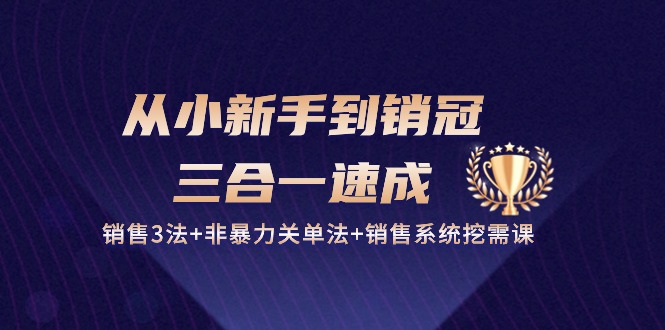 从小新手到销冠三合一速成：销售3法+非暴力关单法+销售系统挖需课 (27节)-润格副业网-每天分享热门副业赚钱项目